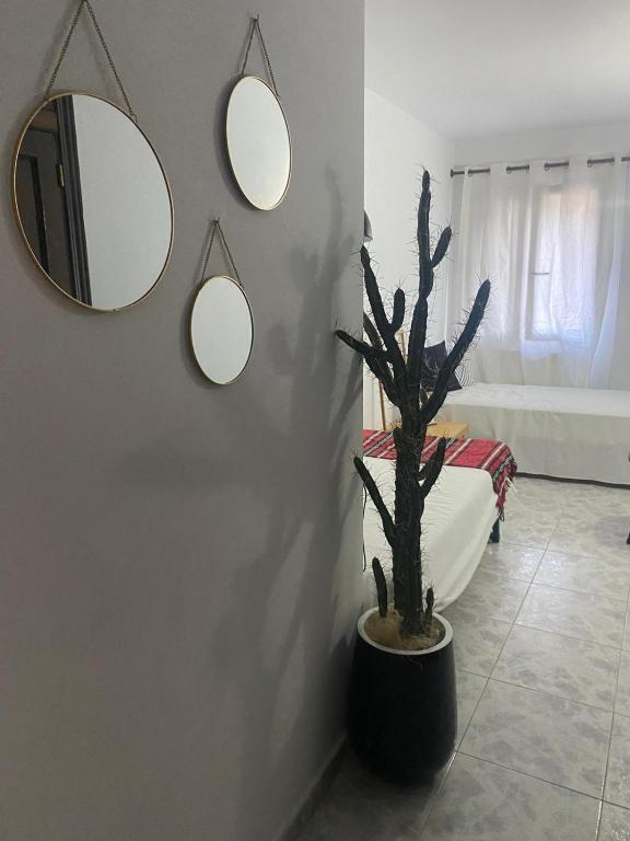 Fotografie z fotogalerie ubytování Apartamento Rincón del Cielo v destinaci Castejón de Sos
