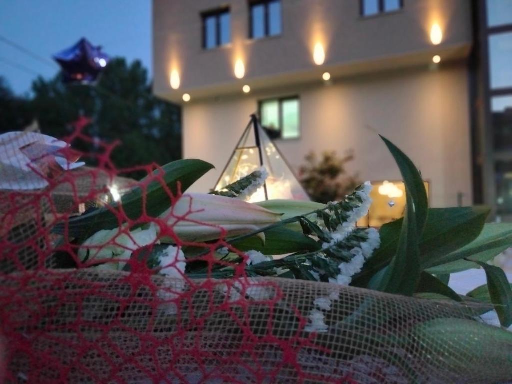 Zahrada ubytování Hotel Ristorante Caligiuri