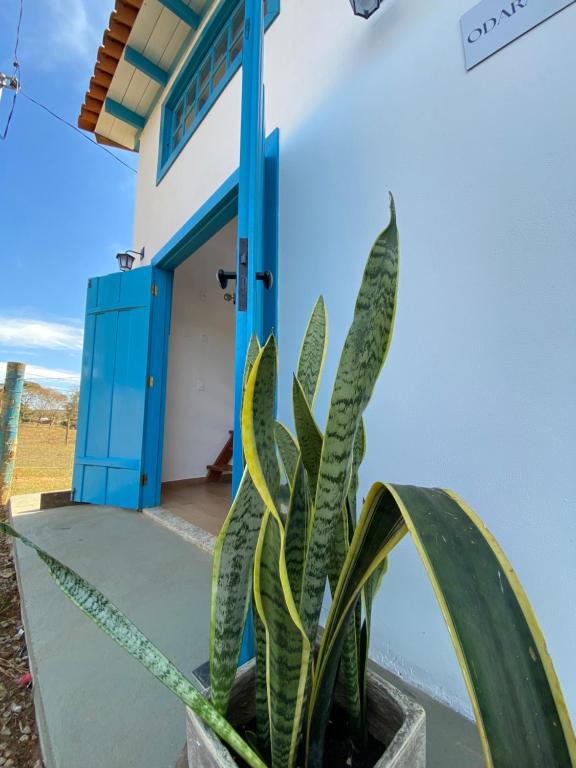 Fotografie z fotogalerie ubytování Espaço Tropicália v destinaci Pirenópolis