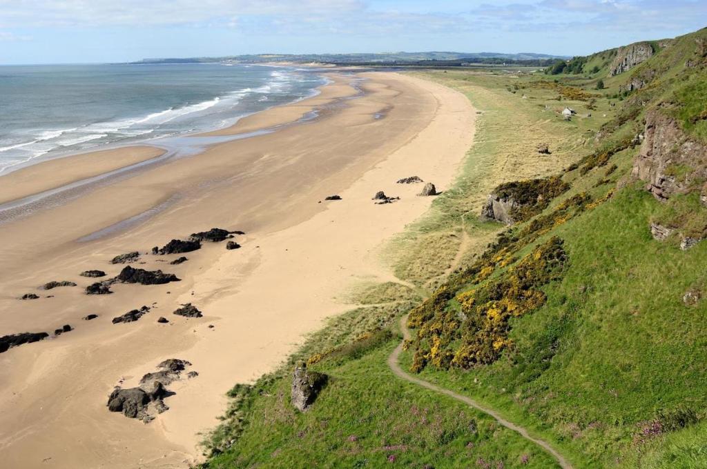an aerial view of a beach with animals on it at A-Wave From It All in Montrose