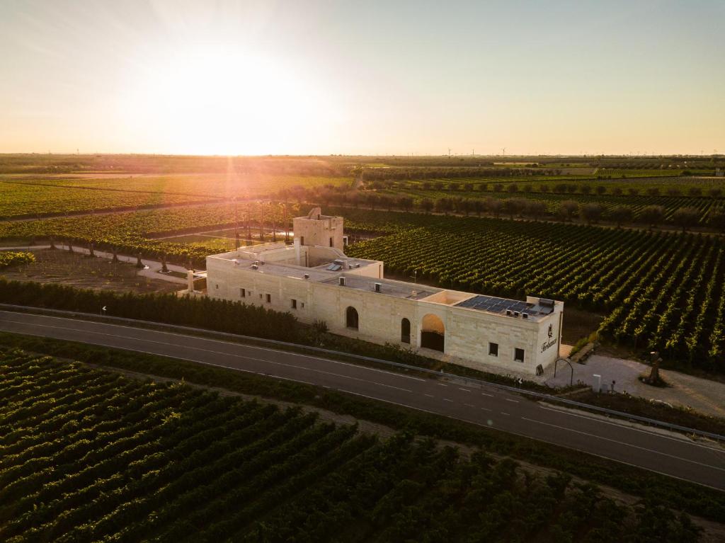聖皮耶特羅韋爾諾蒂科的住宿－Masseria Torleanzi Wine Relais，葡萄园中白色建筑的空中景观