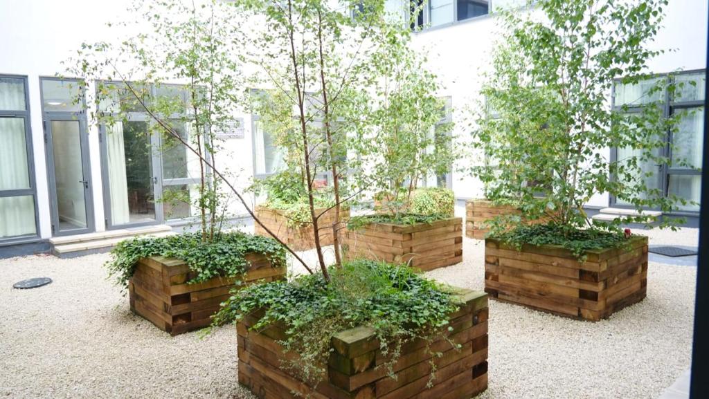 four trees in brick planters in front of a building at MK shortstay Deluxe- Capital Drive in Milton Keynes