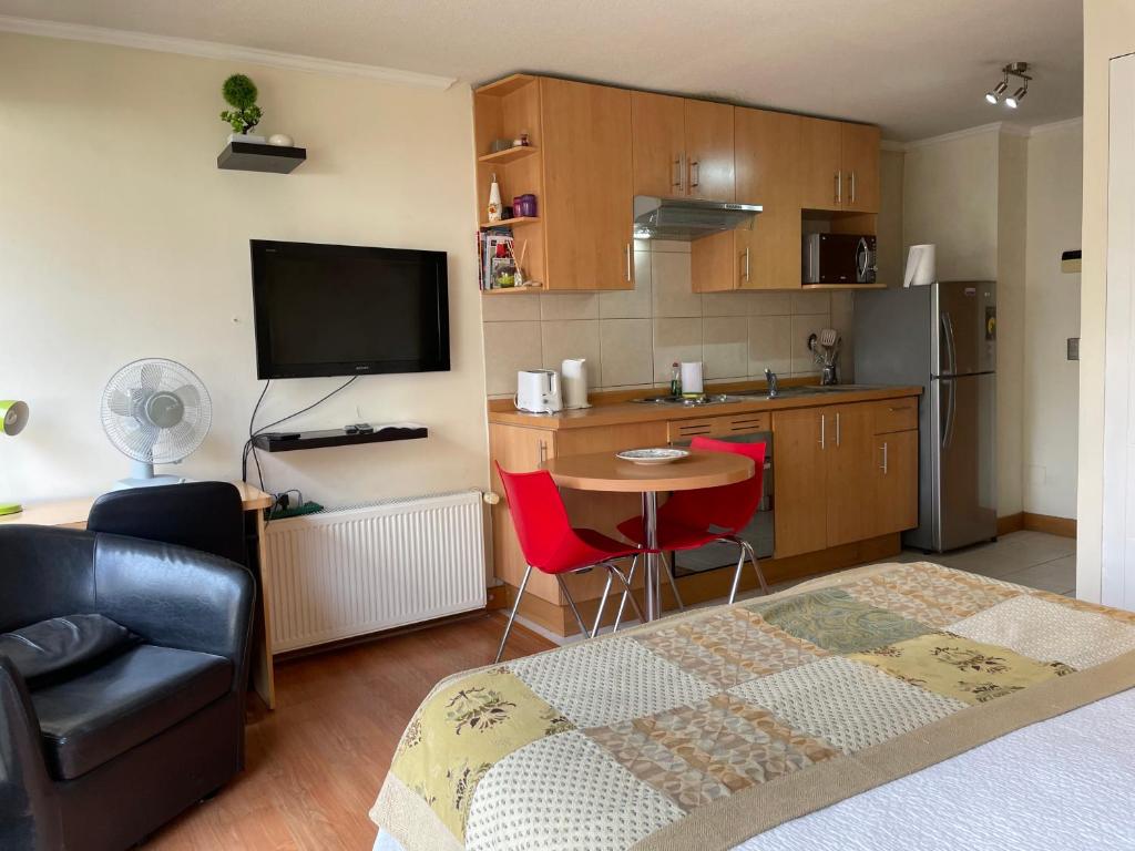 Barrio Lastarria, Excelentes Apartamentos - Sofia Camilla Propiedades - Apartamento De Estudio