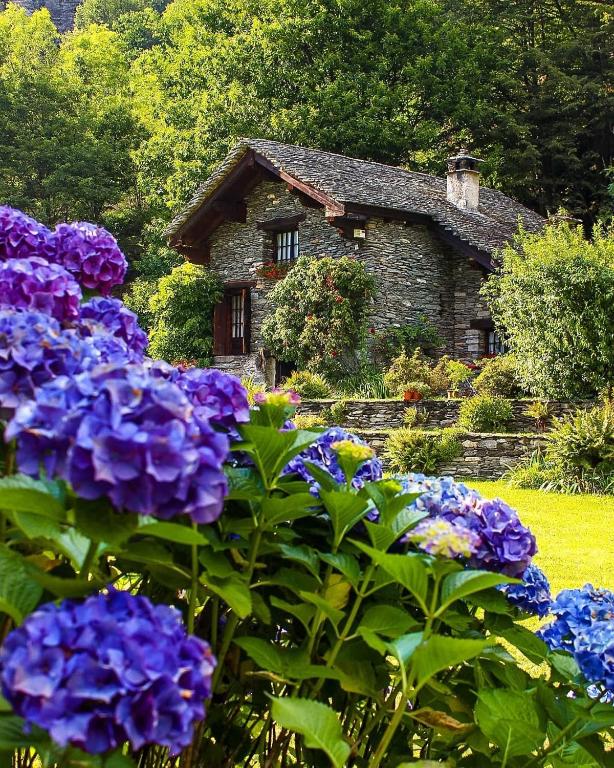 a garden with purple flowers in front of a stone house at Le Primule in Piedilago