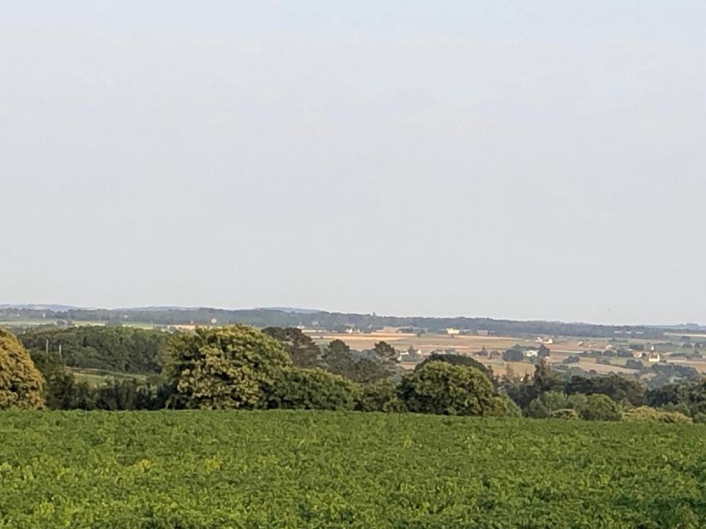 Príroda v okolí vily