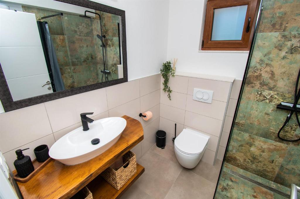 a bathroom with a sink and a toilet and a mirror at Villa Lucia in Skradin