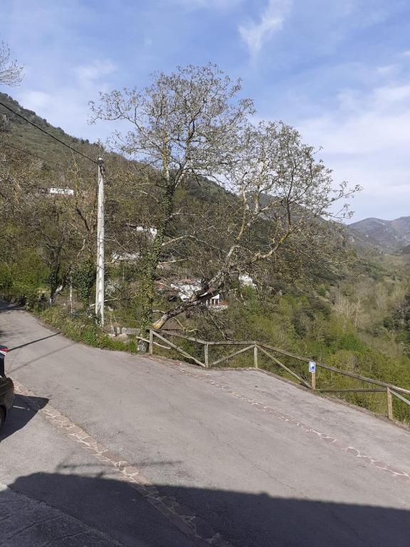 ポラ・デ・ソミエドにあるAparatamento Rural El Oso 3の坂の脇の柵付き道