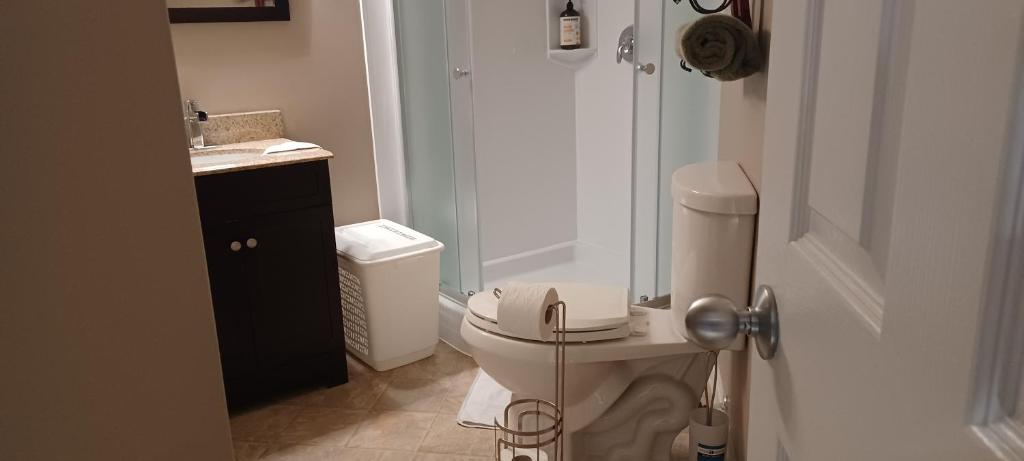 een badkamer met een toilet en een inloopdouche bij 680 SQ FT Private Space With Ensuite Bathroom in Calgary