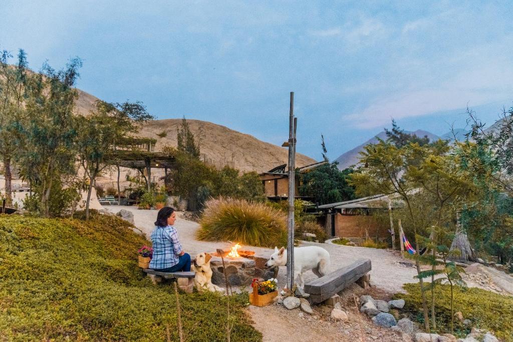 Las Cabañas de Tarii