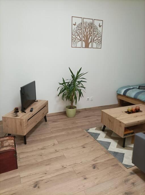 a living room with a couch and a tv and a table at Štýlový Apartmán Zemplínska in Prešov