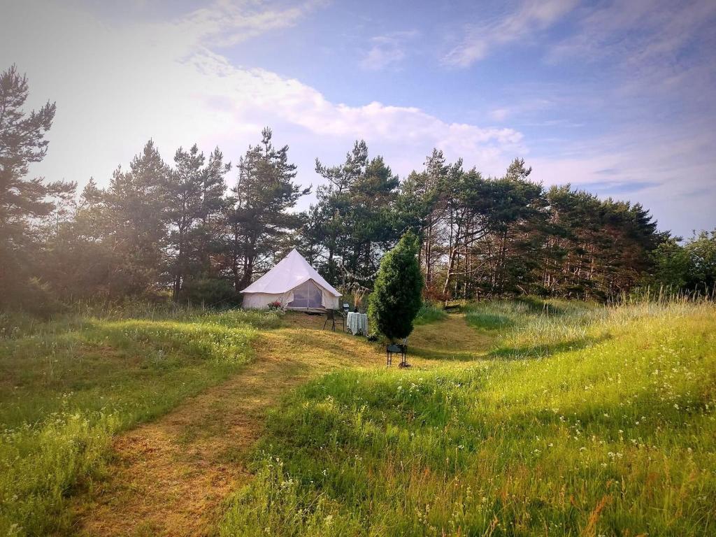 a field with a white tent in the middle of a field at Glempinga telts SMILGA in Liepāja