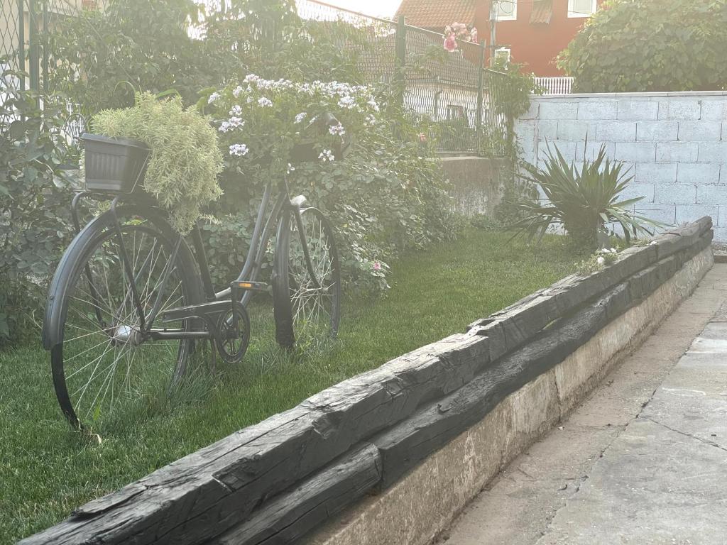 Jízda na kole v ubytování BELA VILA nebo okolí