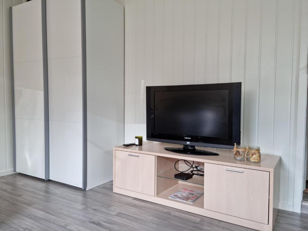 TV a/nebo společenská místnost v ubytování Bårdshaug Studio Apartment