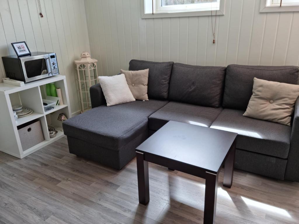 TV a/nebo společenská místnost v ubytování Bårdshaug Studio Apartment
