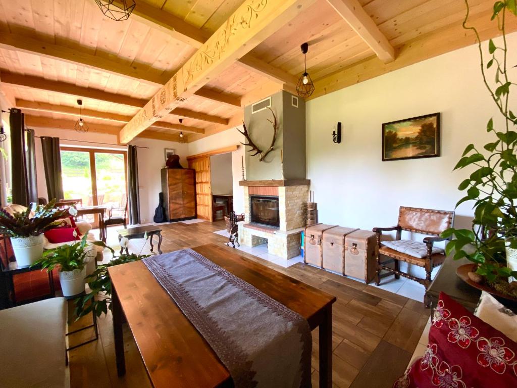 a living room with a couch and a fireplace at Agroturystyka Sarni Stok in Krynica Zdrój