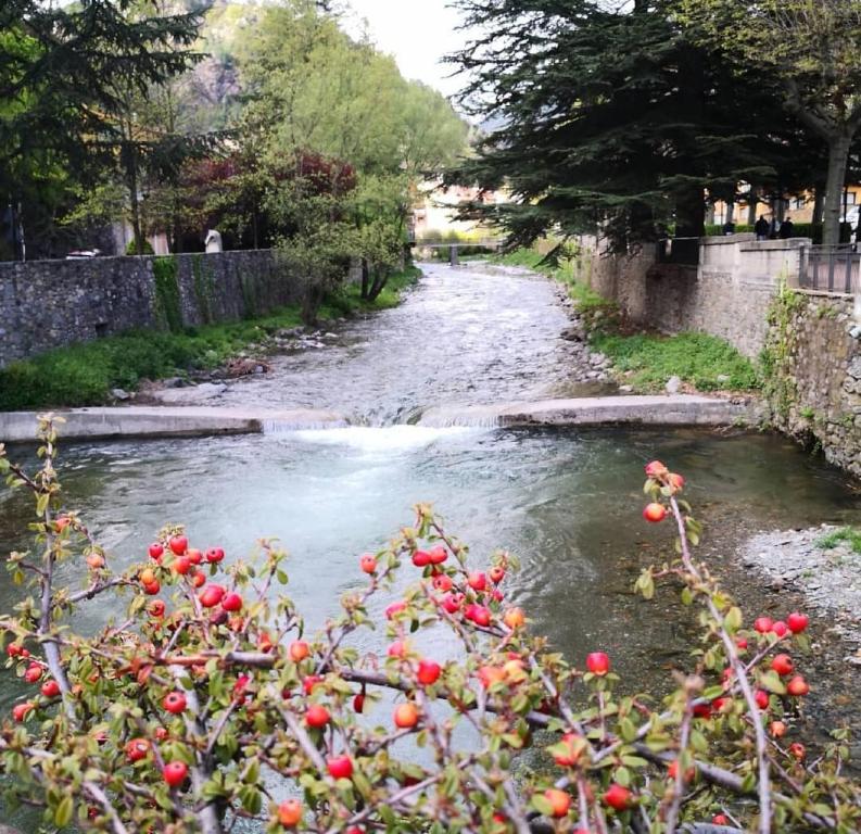 une rivière avec des baies rouges sur un arbre au premier plan dans l'établissement Els Verns, à Ribes de Freser