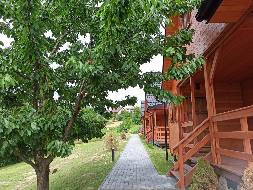 a walkway between two buildings with a tree at Podkarpacka Chata in Iwonicz-Zdrój