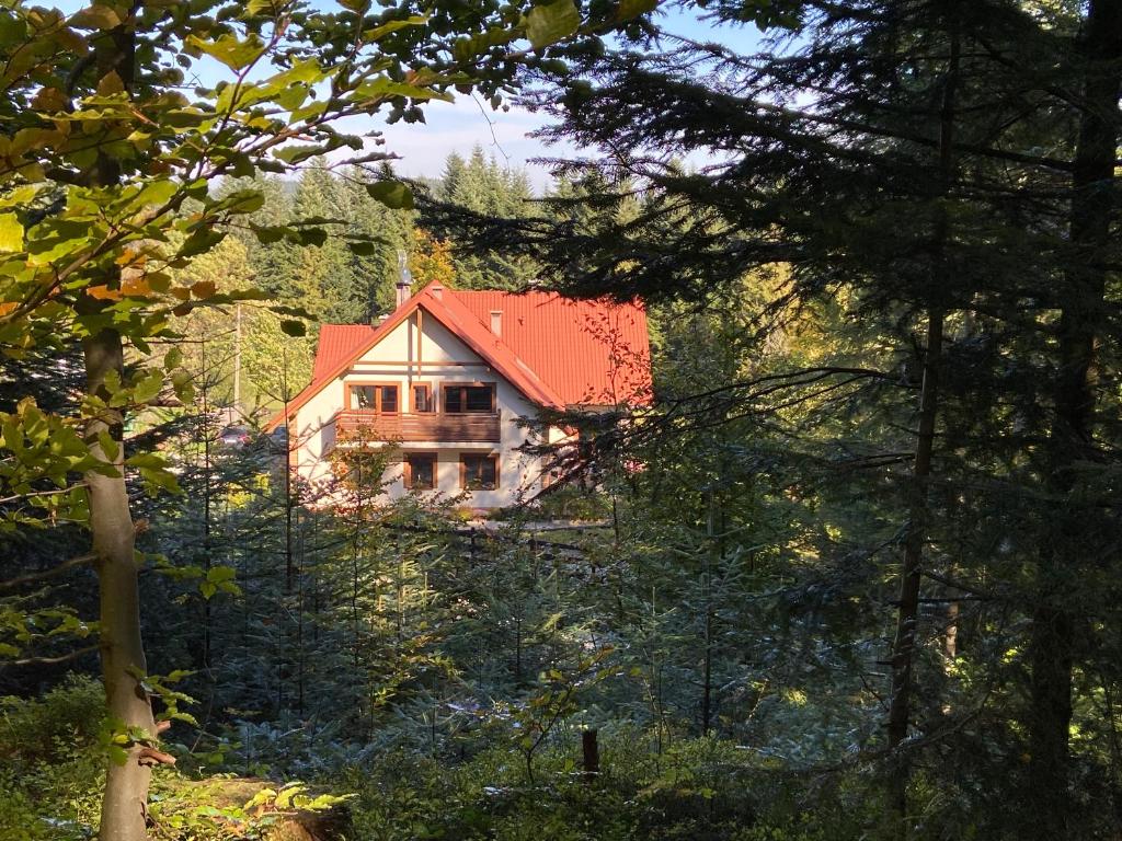 Príroda v okolí farmy