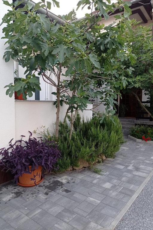 Vonkajšia záhrada v ubytovaní Studio Apartman Škudar
