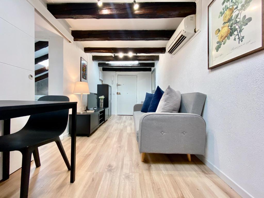 Charming Malasaña Attic - One-Bedroom Apartment