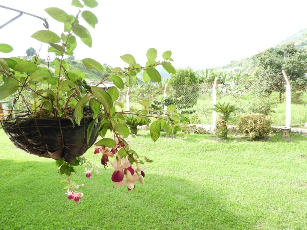 Zahrada ubytování LA RIVERA HOSTERIA CAMPESTRE