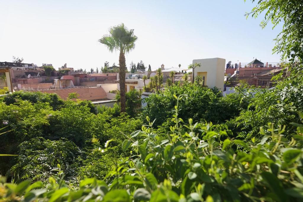Um jardim no exterior de Riad Lyla