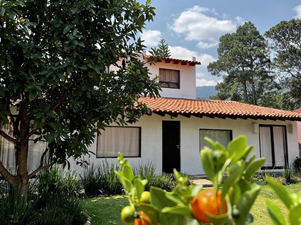 una casa bianca con un albero davanti di Casa Lunah Avandaro a Valle de Bravo