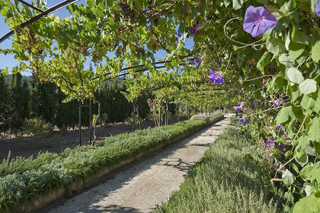 Zahrada ubytování loftOtel canet