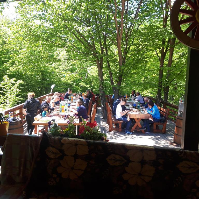 Hosté ubytování Cabana Alpha