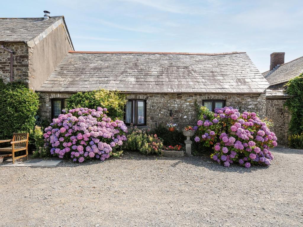 ein Steinhaus mit rosa Blumen davor in der Unterkunft Coach House Cottage in Bude