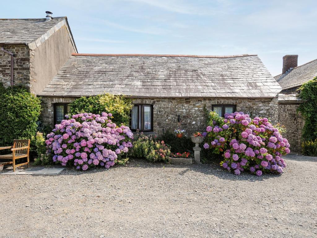 a stone house with pink flowers in front of it at Coach House Cottage in Bude
