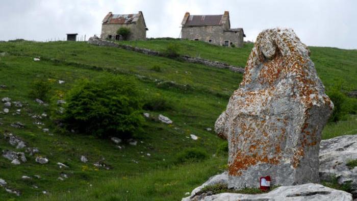 Przyroda w pobliżu tego obiektu B&B