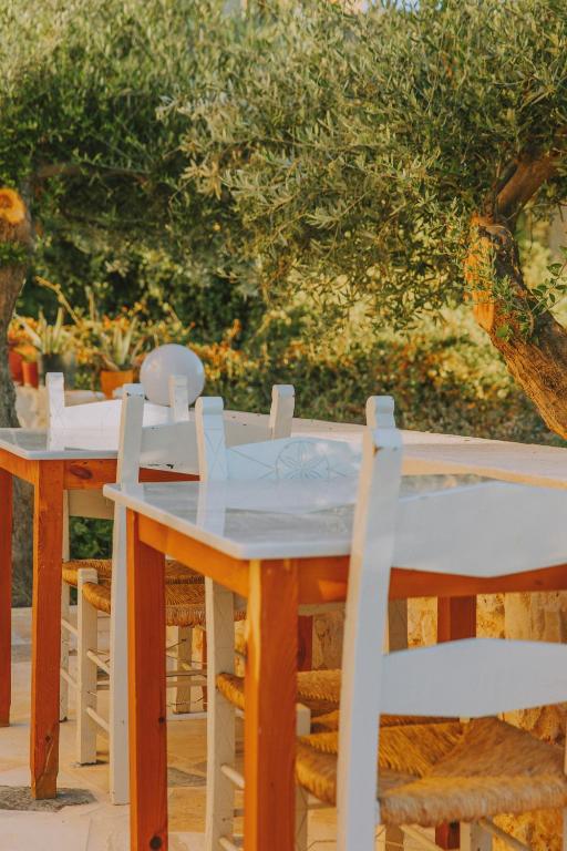 Fotografie z fotogalerie ubytování Creta Vitalis v destinaci Kalathas