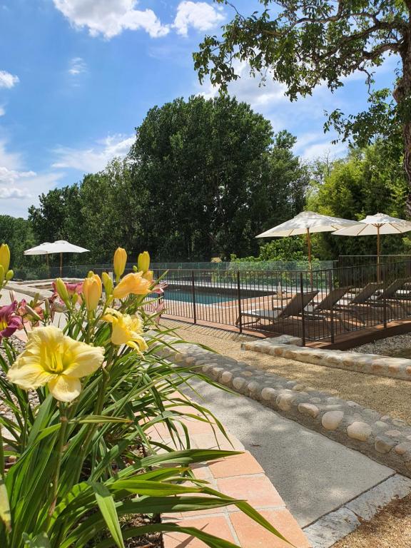Zahrada ubytování Hôtel Villa Walbaum