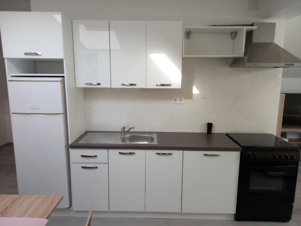 Kuchyňa alebo kuchynka v ubytovaní Apartmani Dubrava 2