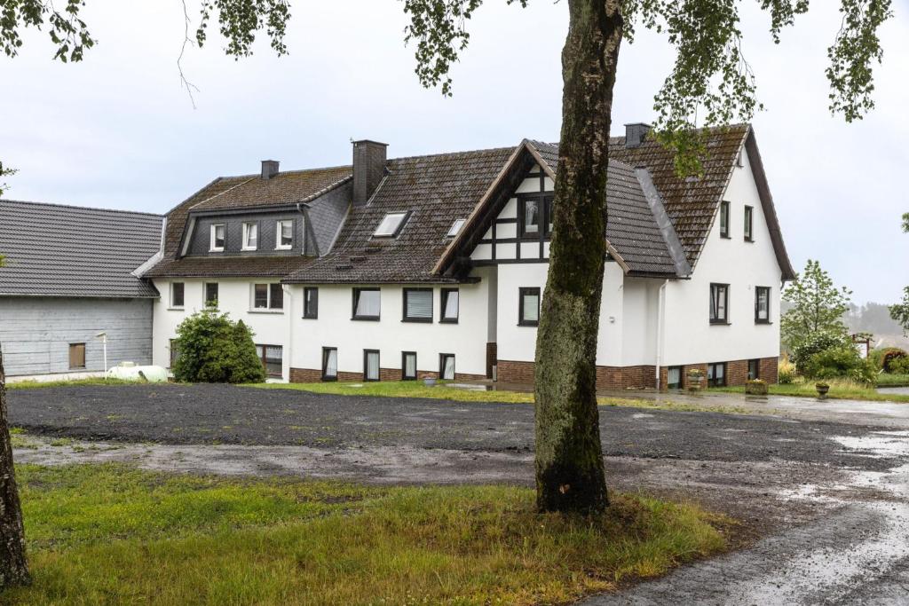 une grande maison blanche avec un toit noir dans l'établissement Pension Wittgensteiner Schweiz, à Bad Berleburg