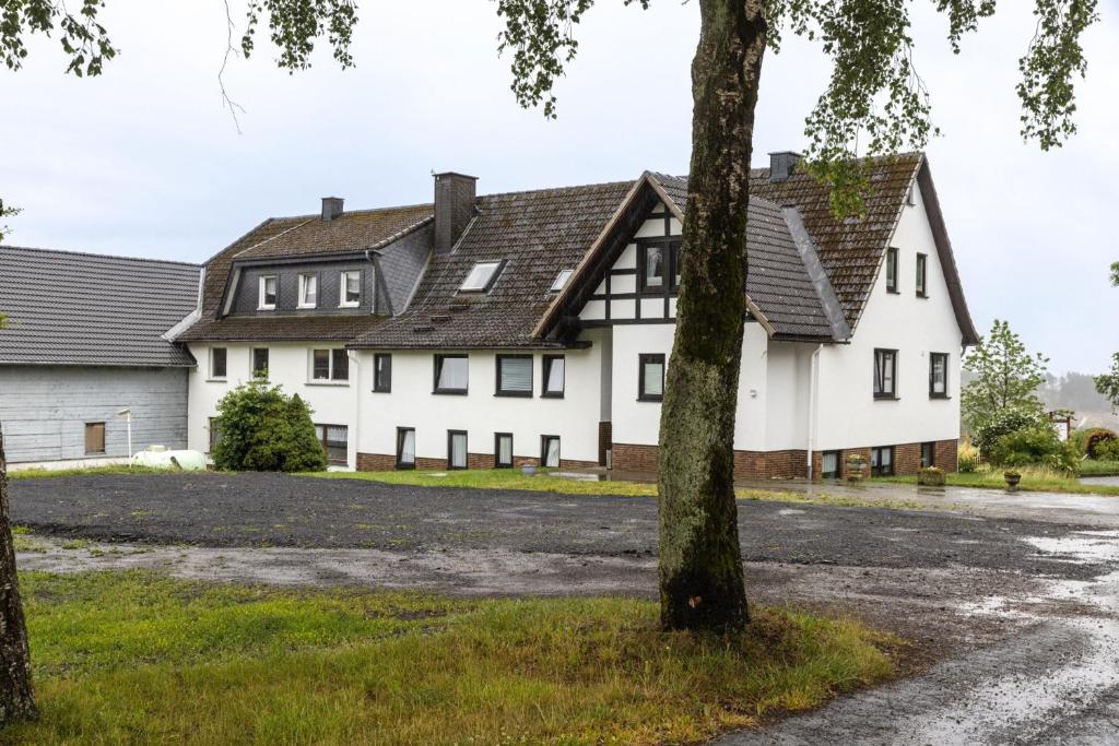 ein großes weißes Haus mit schwarzem Dach in der Unterkunft Pension Wittgensteiner Schweiz in Bad Berleburg