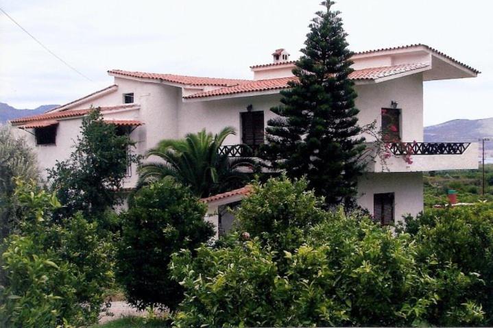 a large white house with a tree in front of it at Lemon tree house in Kalloni