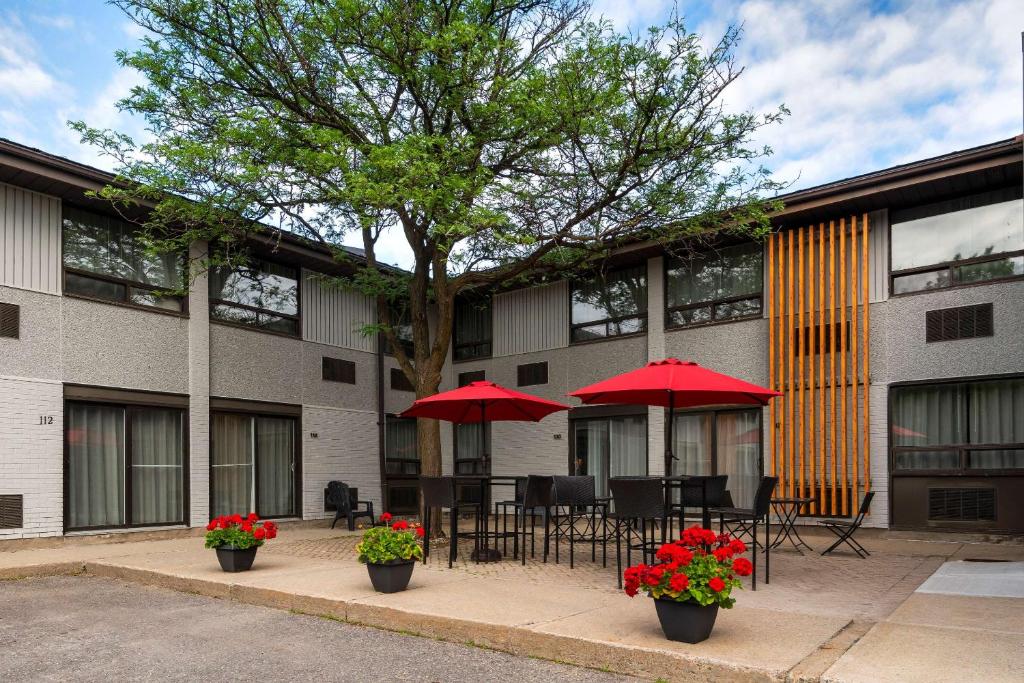 Comfort Inn West - Resim 8