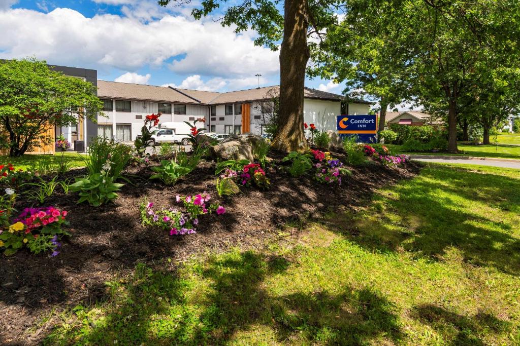 Comfort Inn West - Resim 9