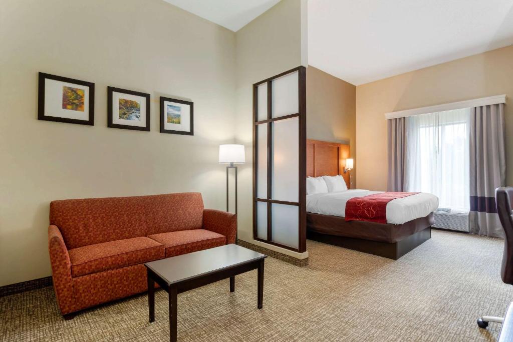 Comfort Suites - King Room No Fumadores