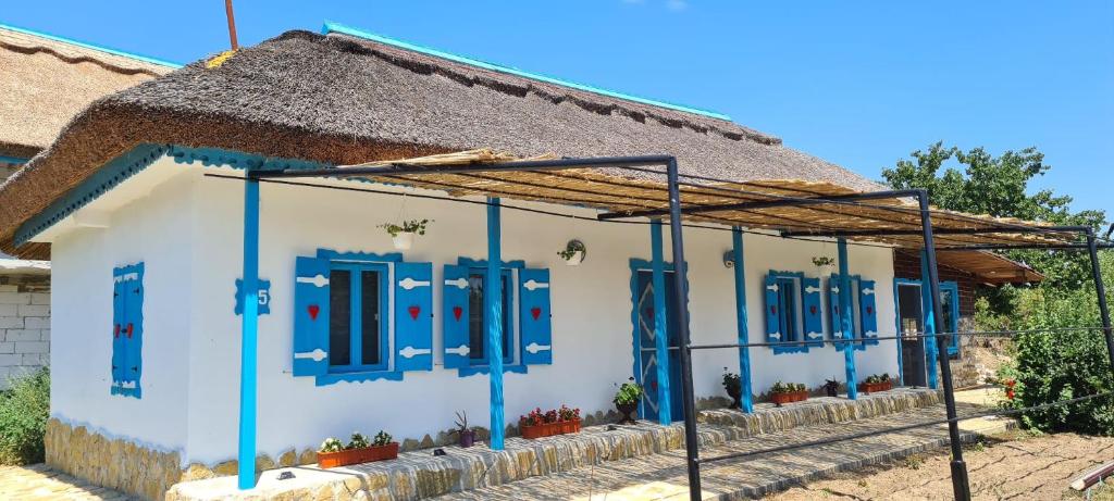 a house with blue shutters and a thatched roof at Casa cu stuf Murighiol in Murighiol