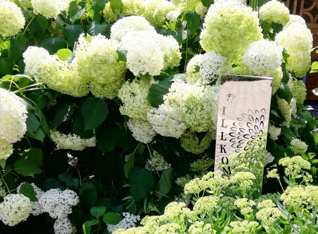 Ein paar weiße Blumen mit einem Schild drauf. in der Unterkunft Ferienwohnung Uenglingen in Stendal