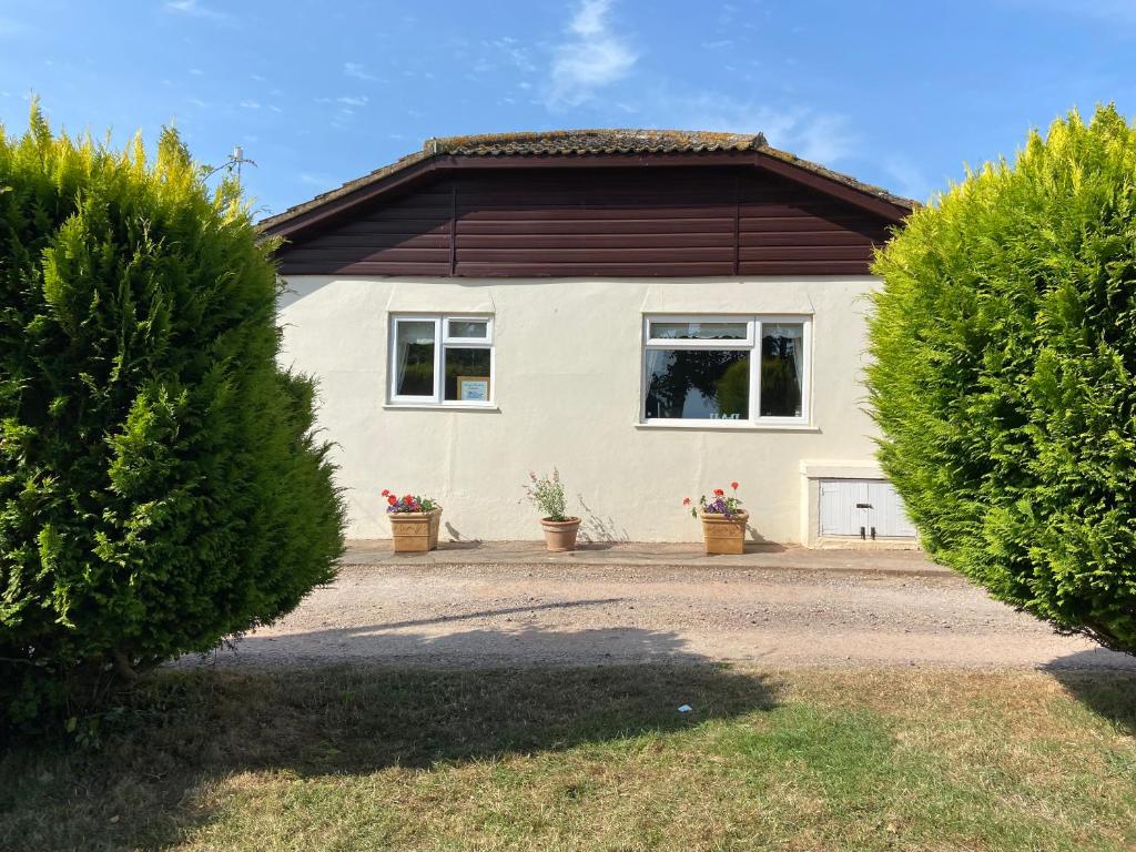 Gallery image of Sleepy Donkey Cottage in Sidmouth