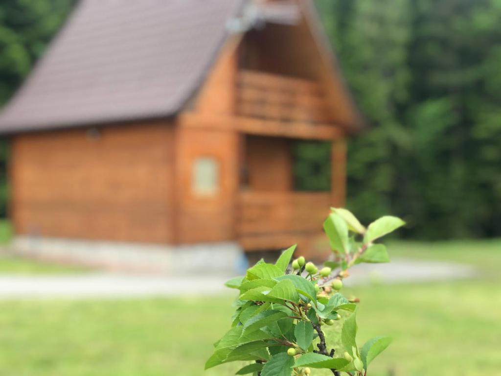 Vonkajšia záhrada v ubytovaní Domek letniskowy Biedówka