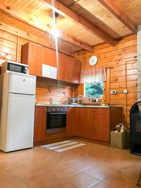 Kuchyňa alebo kuchynka v ubytovaní Domek letniskowy Biedówka