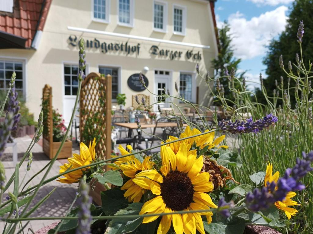 a bouquet of sunflowers in front of a restaurant at Pension Landgasthof Darzer Eck in Altenhof
