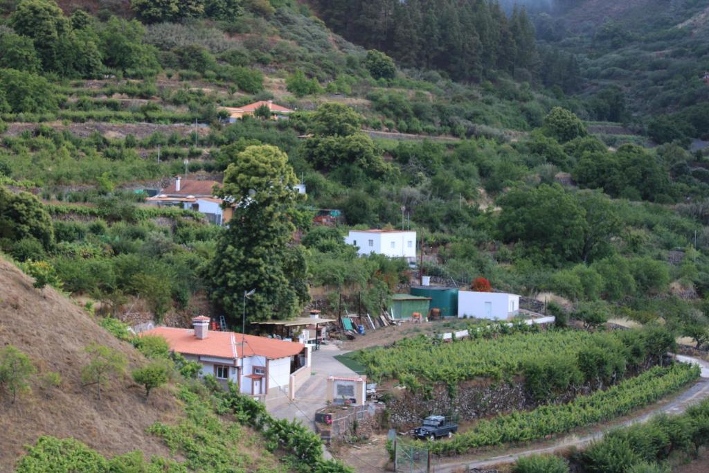 Fotografia z galérie ubytovania Finca El cole v destinácii Las Palmas de Gran Canaria