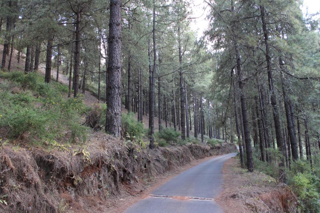 Fotografia z galérie ubytovania Finca El cole v destinácii Las Palmas de Gran Canaria