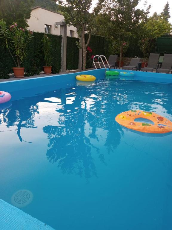 a pool with two inflatables in the water at Casa Pestera Ponicova in Dubova